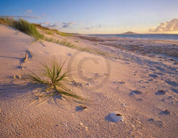 Kunstdruck Popp-Hackner - Northland Karikari Bay 90x70cm