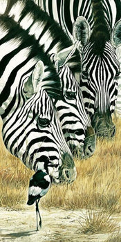 Kunstdruck Renato Casaro - Black and White 50x100cm
