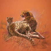 Kunstdruck Renato Casaro - Cheetah Mother 50x50cm
