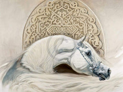 Kunstdruck Renato Casaro - Arabian Pride 80x60cm