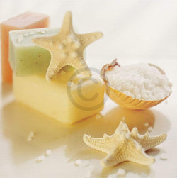 Kunstdruck Sondra Wampler - Teaberry 25x25cm