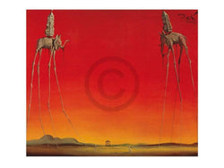 Kunstdruck Salvador Dali - Les Elephants 80x60cm