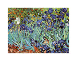Kunstdruck Vincent Van Gogh - Iris 30x24cm