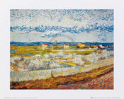 Kunstdruck Vincent Van Gogh - Pesco in fiore 30x24cm