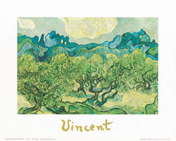 Kunstdruck Vincent Van Gogh - Landscapes with olive trees 30x24cm