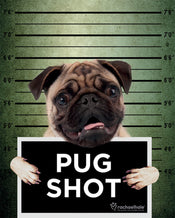 Poster Rachael Hale Pug Shot Banjo 40x50cm
