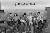 Poster Friends Skyscraper 91,5x61cm