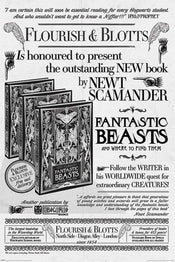 Poster Fantastic Beasts the Crimes of Grindelwald Flourish and Blotts 61x91,5cm