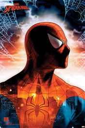 Poster Spider Man Protector of the City 61x91,5cm
