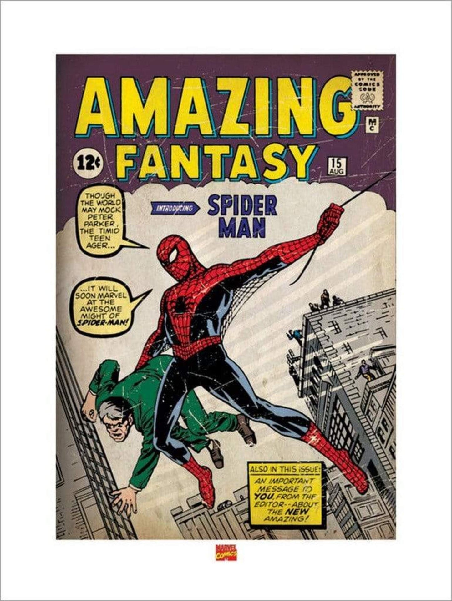 Kunstdruck Spider-Man Issue 1 60x80cm