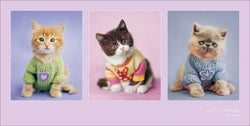 Kunstdruck Rachael Hale Kitty Couture 100x50cm