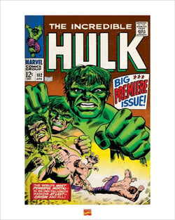 Kunstdruck Hulk 40x50cm