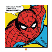 Kunstdruck Spider-Man With Great Power 40x40cm