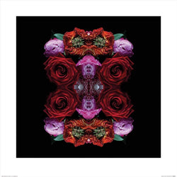 Kunstdruck Alyson Fennell - Paradise of Petals 60x60cm